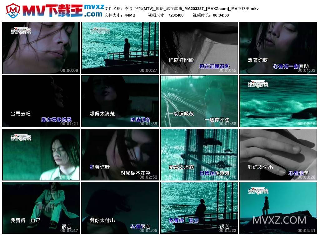 李泉-很苦(MTV)_国语_流行歌曲_MA203287